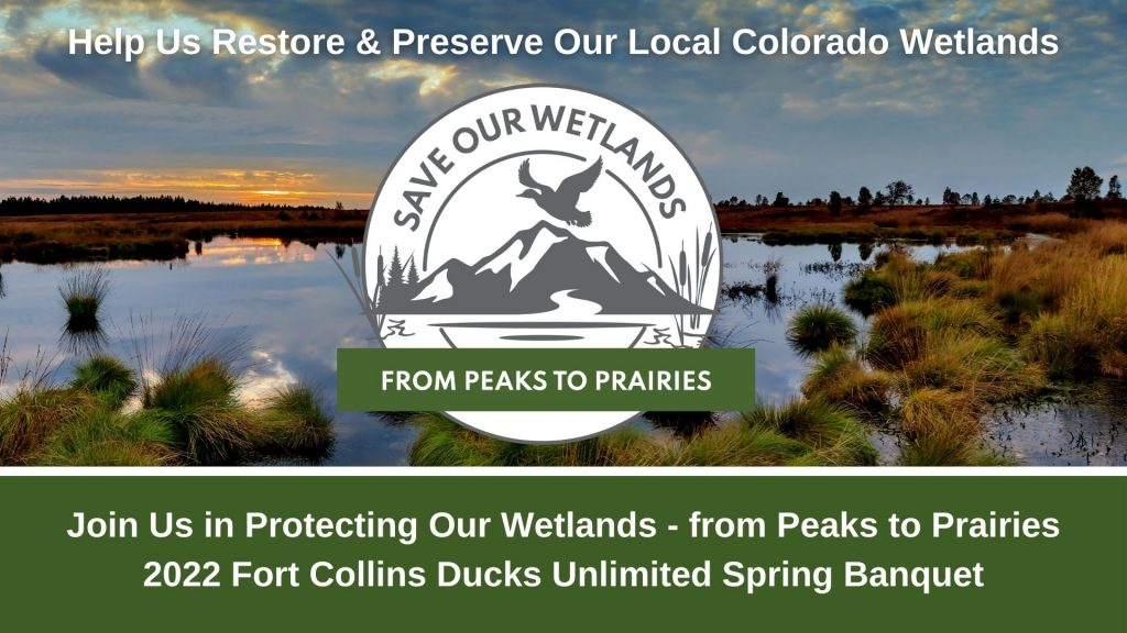 Help Ducks Unlimited Save Our Wetlands